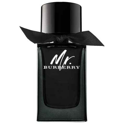 mr burberry eau de parfum|mr Burberry perfume 50ml.